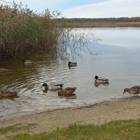 아파트 Orlando W Porto 350m Od Morza *