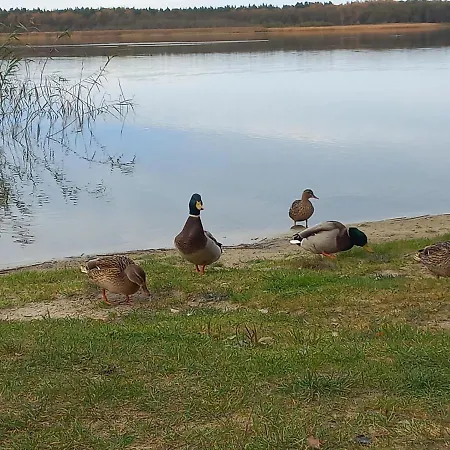 Orlando W Porto 350m Od Morza 아파트 웨바