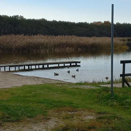 Orlando W Porto 350m Od Morza