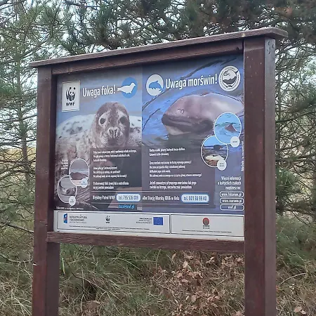 Orlando W Porto 350m Od Morza 아파트 *