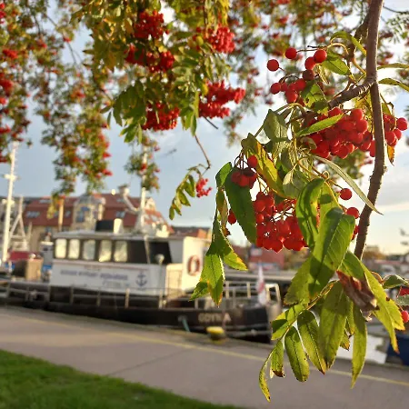 Orlando W Porto 350m Od Morza 아파트