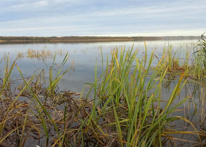 Orlando W Porto 350m Od Morza