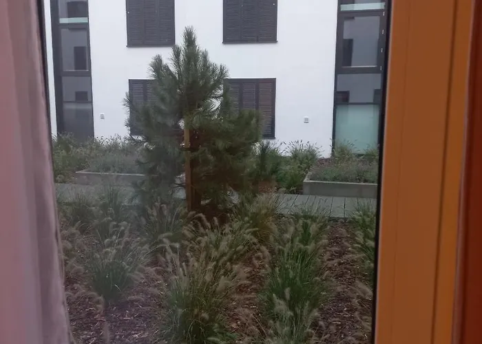 דירה Orlando W Porto 350m Od Morza וובה