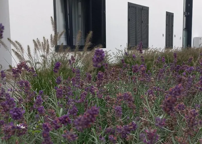 Orlando W Porto 350m Od Morza