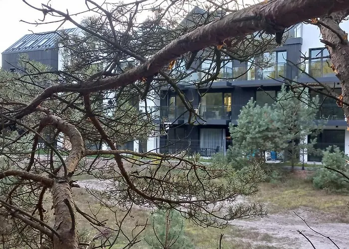 Orlando W Porto 350m Od Morza