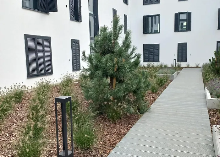 Orlando W Porto 350m Od Morza Łeba