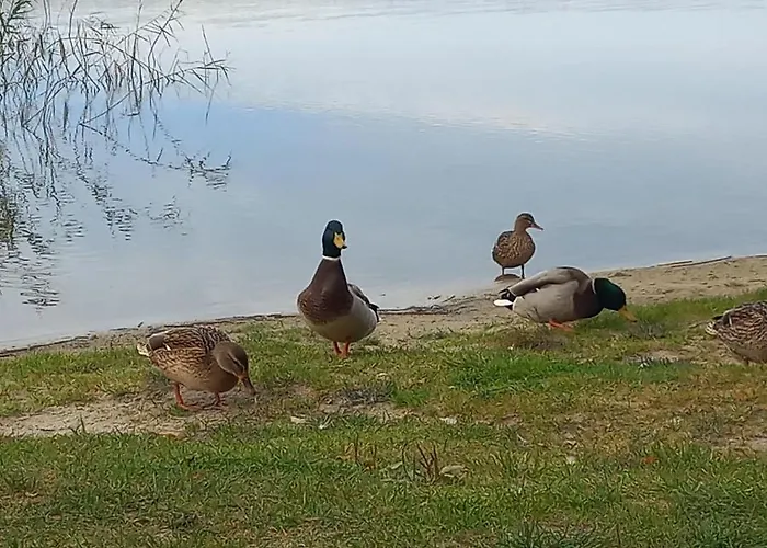 Orlando W Porto 350m Od Morza דירה וובה