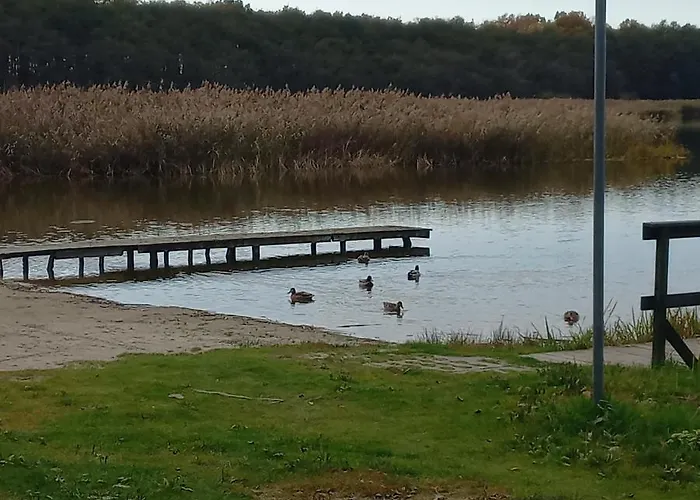 Orlando W Porto 350m Od Morza