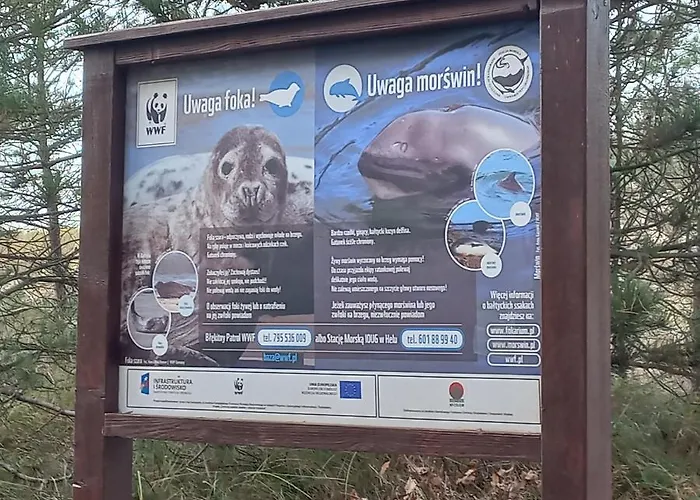 Orlando W Porto 350m Od Morza דירה *