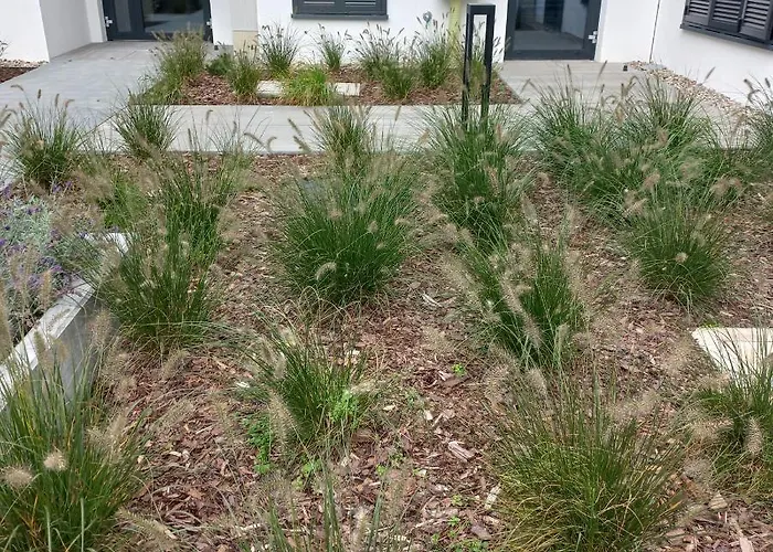 Orlando W Porto 350m Od Morza דירה