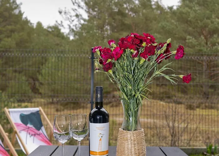 Orlando W Porto 350m Od Morza *